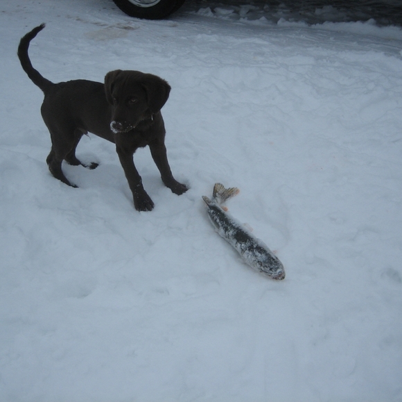 👶 Vintage Toddler Crocheted Knit Mint Dress - Picture 12 of 16